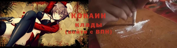 дживик Няндома