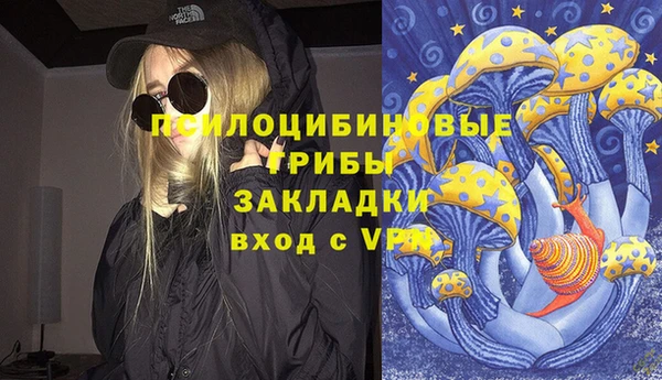 дживик Няндома